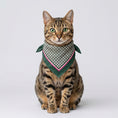 Load image into Gallery viewer, Pet Scarf · Green Pattern