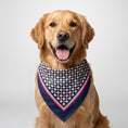 Load image into Gallery viewer, Pet Scarf · Blue Pattern