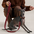 Load image into Gallery viewer, Bordeaux Pet leash