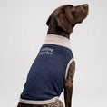 Load image into Gallery viewer, Knitted pet sweater · Blue