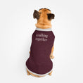 Load image into Gallery viewer, Knitted pet sweater · Burgundy
