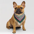 Load image into Gallery viewer, Pet Scarf · Green Pattern

