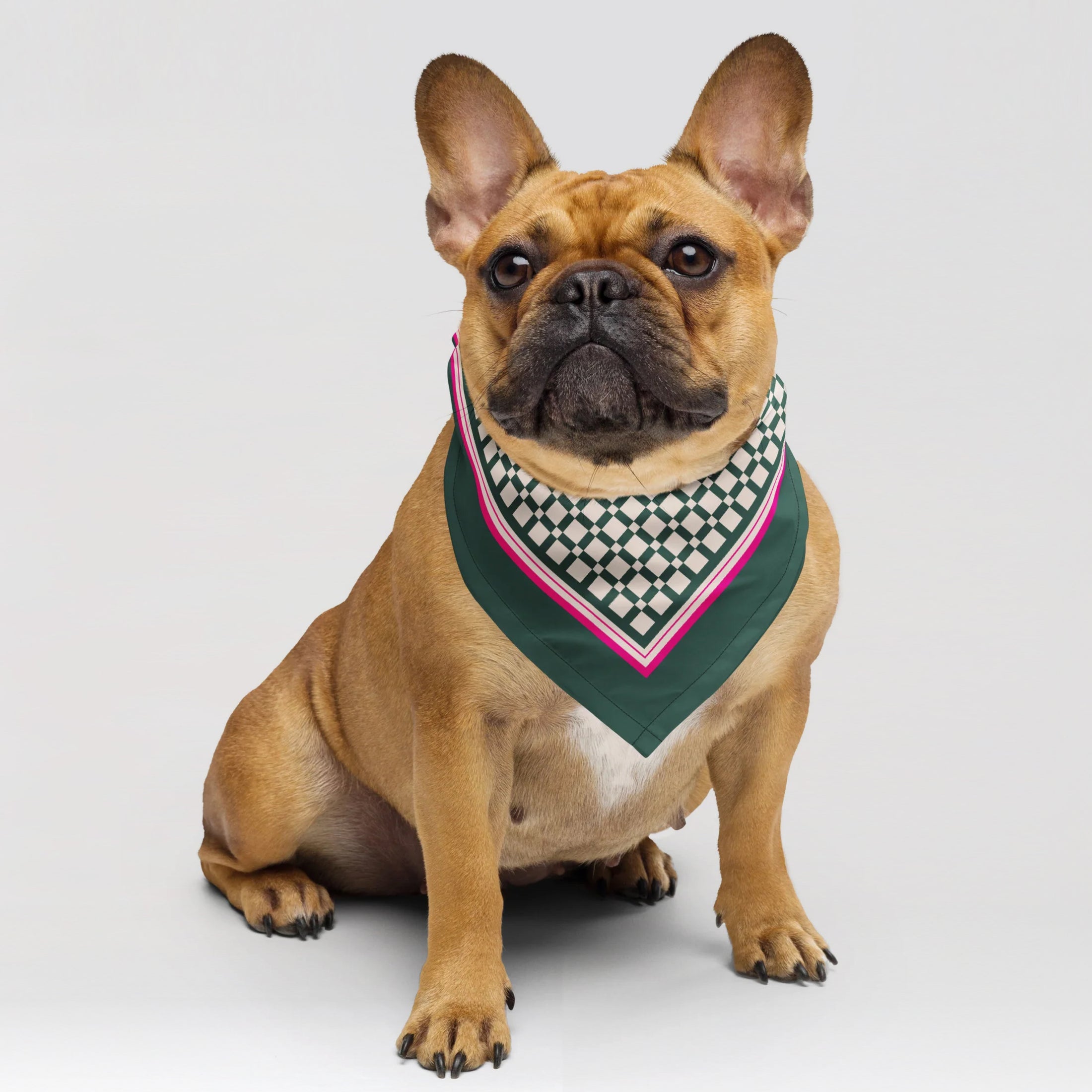 Pet Scarf · Green Pattern