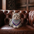 Load image into Gallery viewer, Pet Scarf · Blue Pattern
