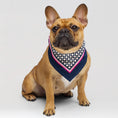 Load image into Gallery viewer, Pet Scarf · Blue Pattern
