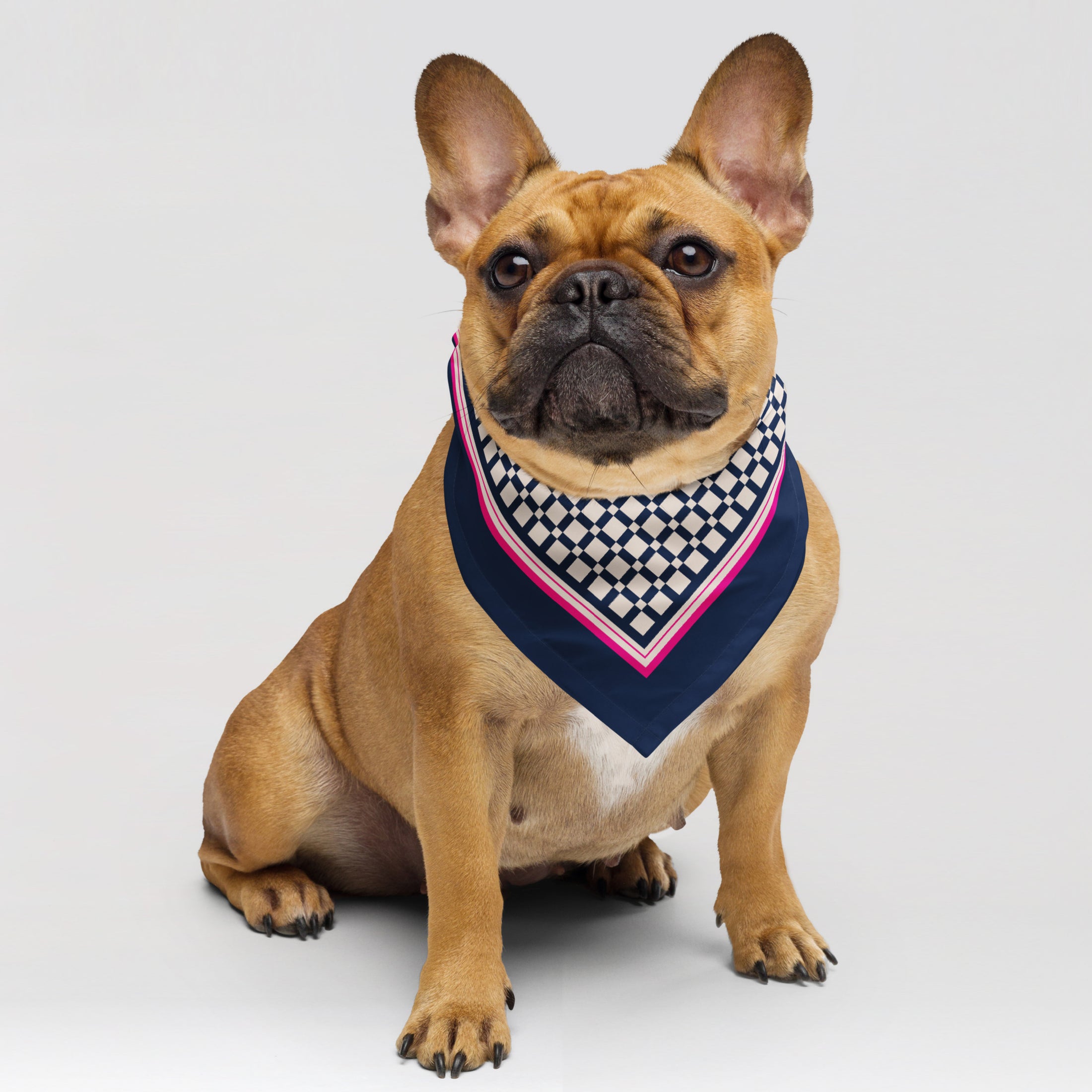 Pet Scarf · Blue Pattern
