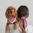 Load image into Gallery viewer, Pet Scarf · Bordeaux Pattern
