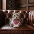 Load image into Gallery viewer, Pet Scarf · Bordeaux Pattern
