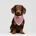 Load image into Gallery viewer, Pet Scarf · Bordeaux Pattern
