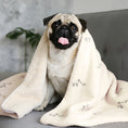 Load image into Gallery viewer, Custom Sherpa blanket
