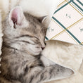 Load image into Gallery viewer, Custom Sherpa blanket
