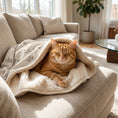 Load image into Gallery viewer, Cat Sherpa blanket
