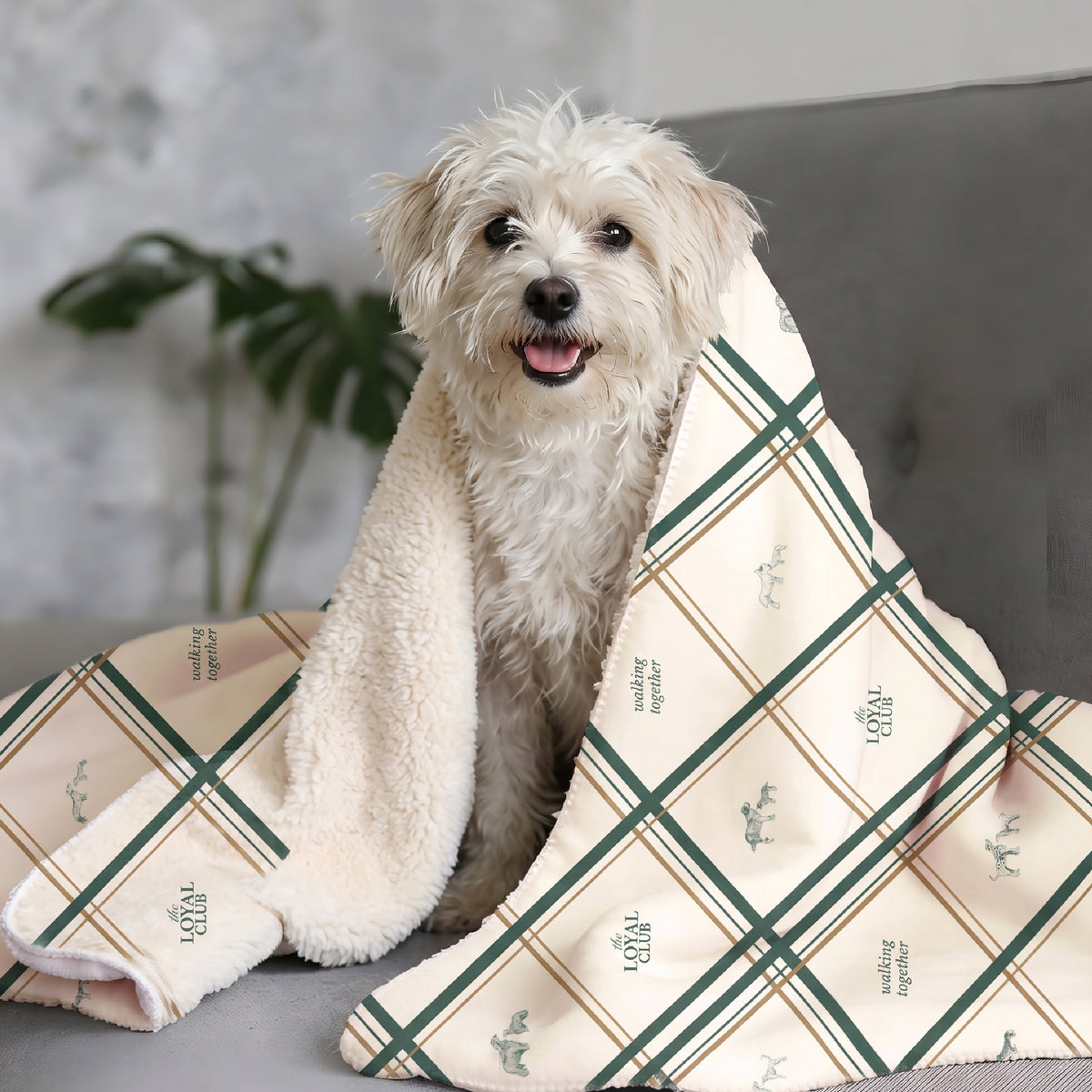 Dogs Sherpa blanket