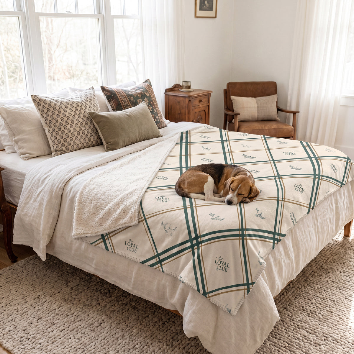 Dogs Sherpa blanket