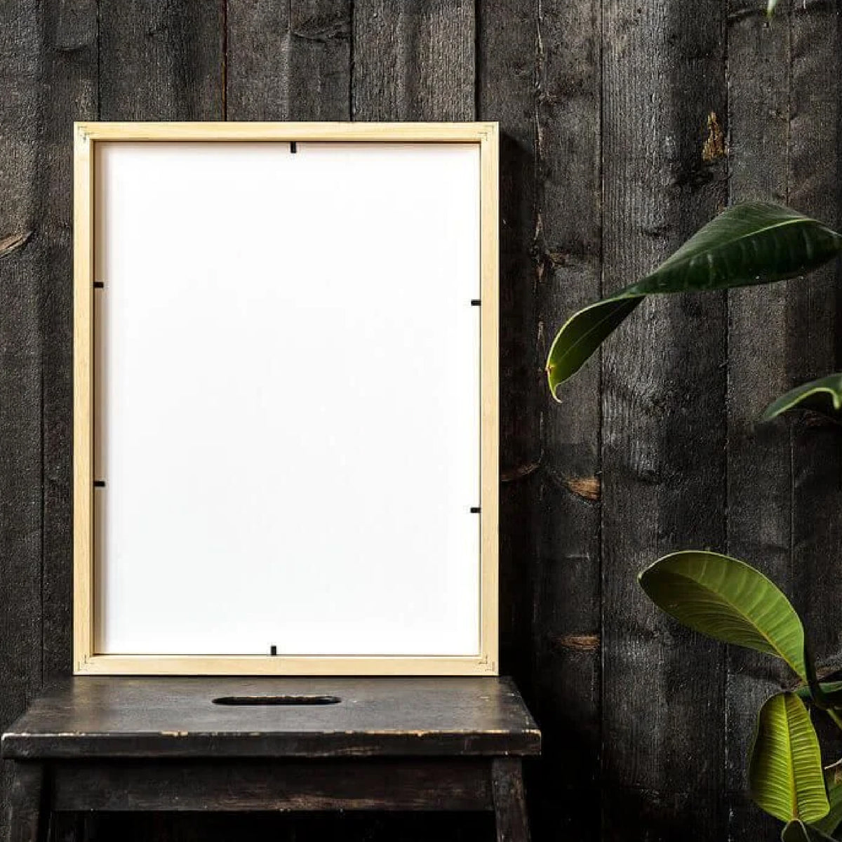 Framed Poster Pet
