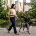 Load image into Gallery viewer, Pet leash · Blue
