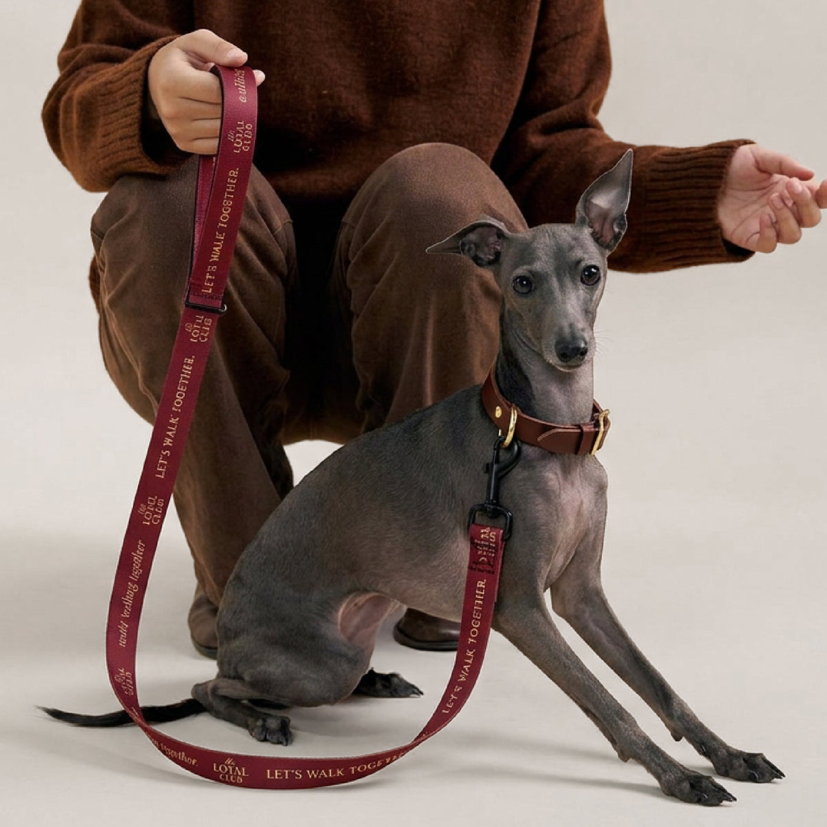 Bordeaux Pet leash
