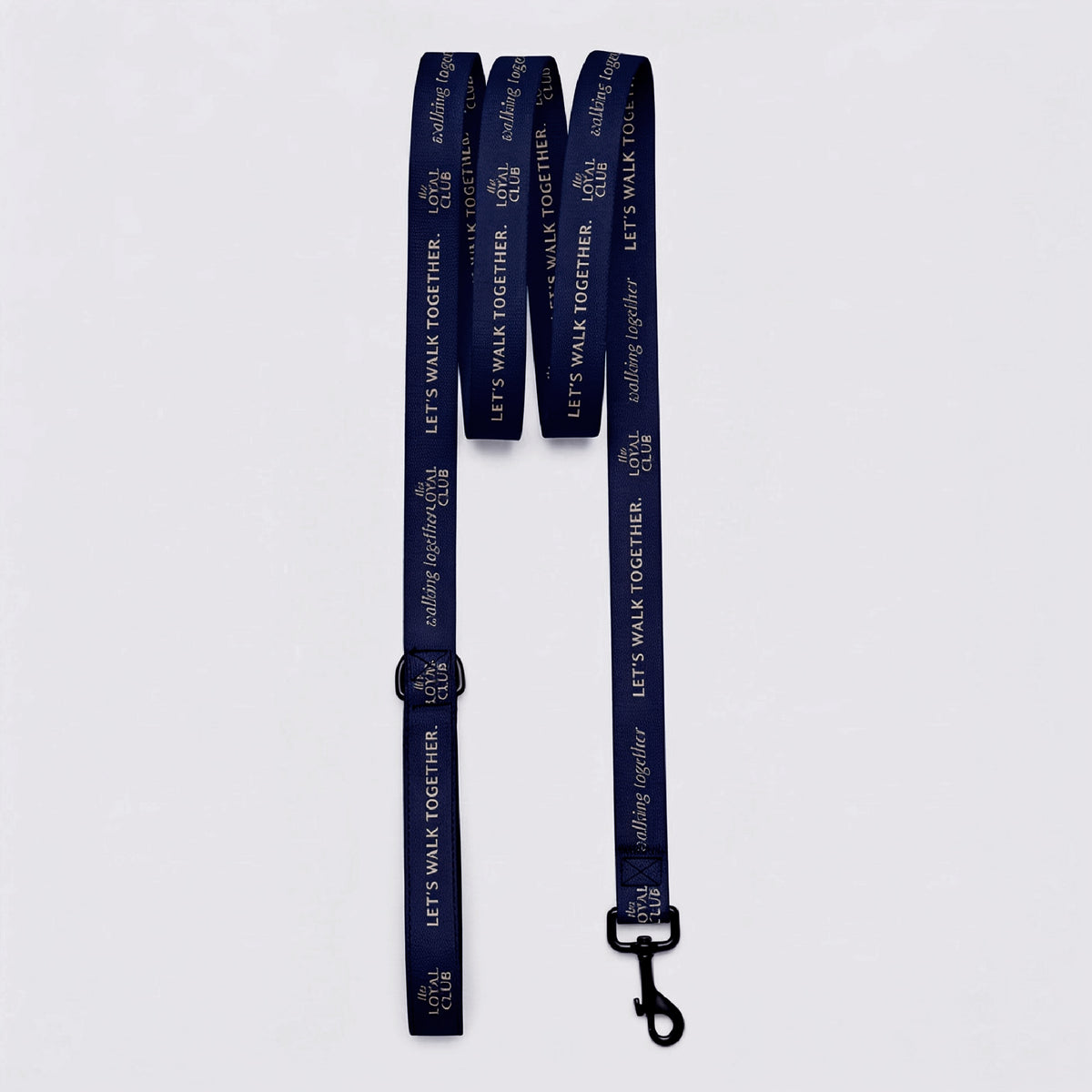 Pet leash · Blue