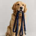 Load image into Gallery viewer, Pet leash · Blue

