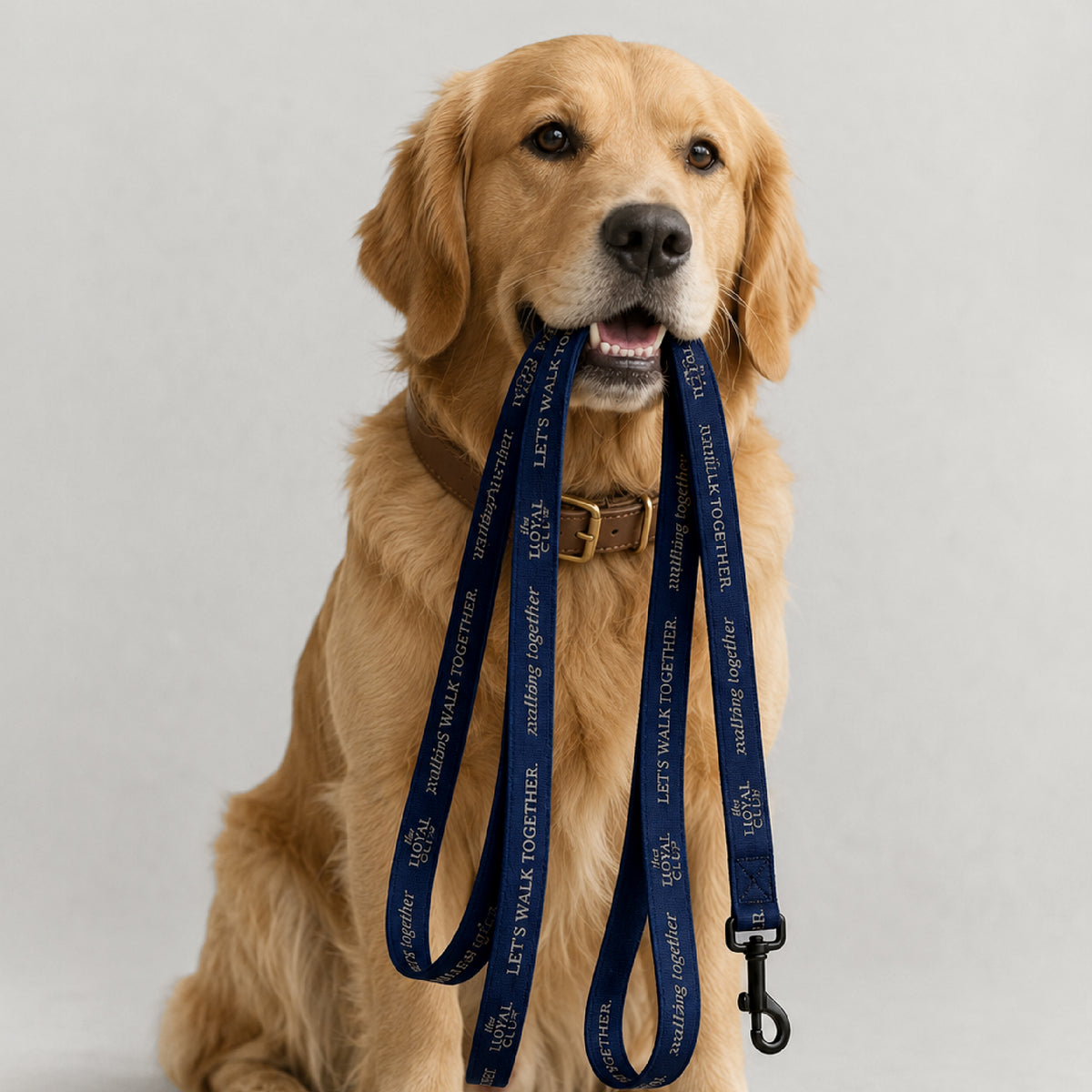 Pet leash · Blue