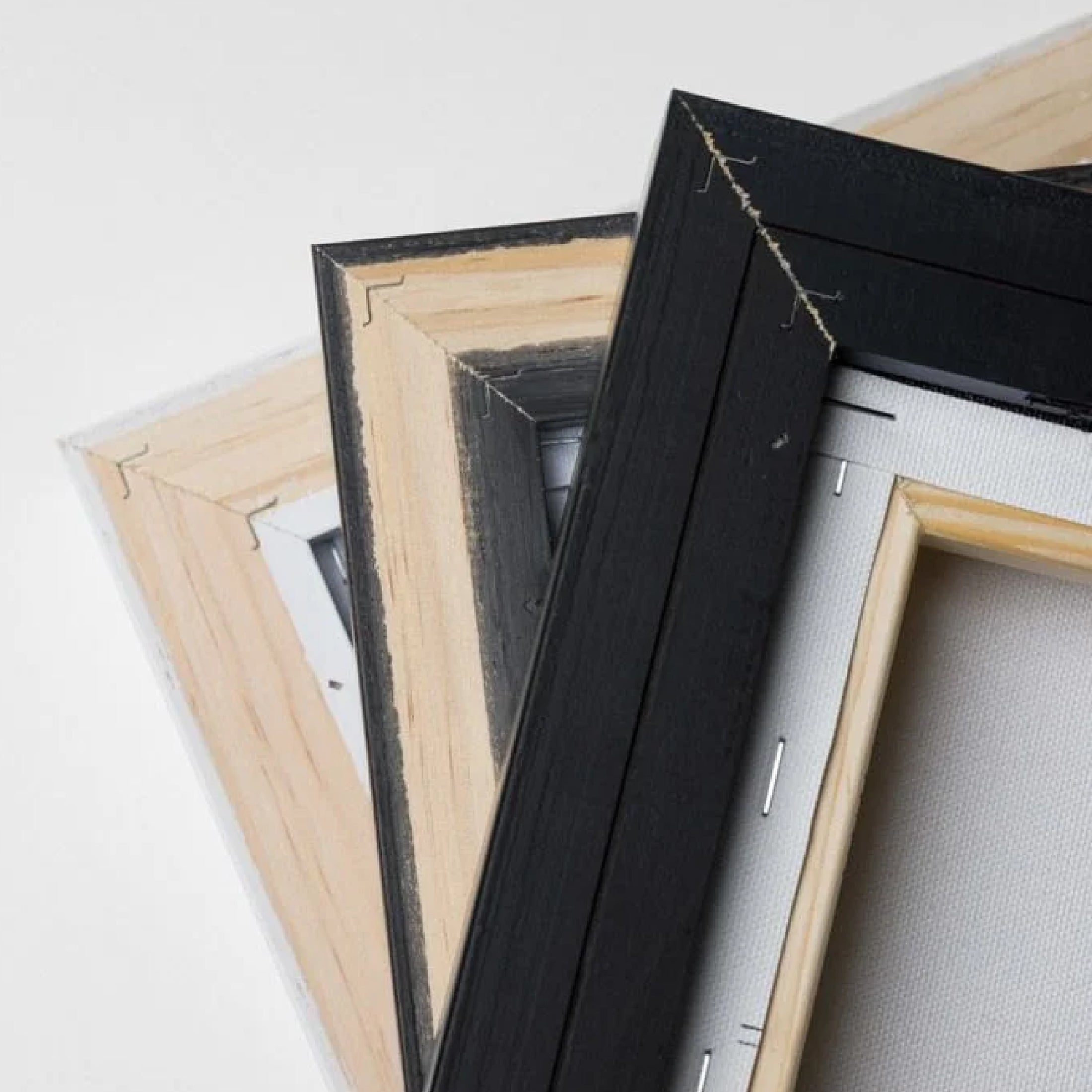 Framed Canvas Pet & Person