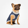 Load image into Gallery viewer, Knitted pet sweater · Blue
