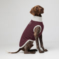 Load image into Gallery viewer, Knitted pet sweater · Burgundy
