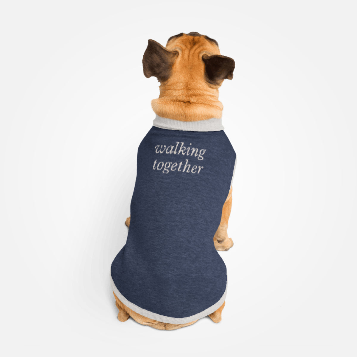 Knitted pet sweater · Blue