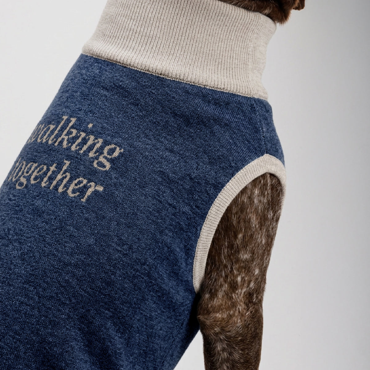 Knitted pet sweater · Blue