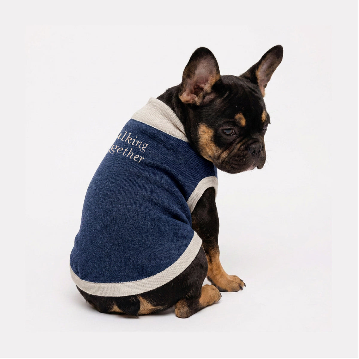 Knitted pet sweater · Blue