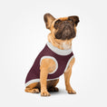 Load image into Gallery viewer, Knitted pet sweater · Burgundy
