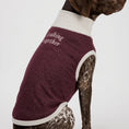 Load image into Gallery viewer, Knitted pet sweater · Burgundy
