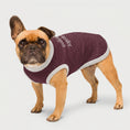 Load image into Gallery viewer, Knitted pet sweater · Burgundy
